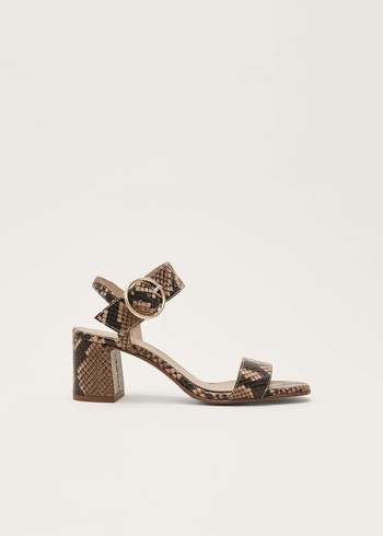 Phase Eight Snake Skin Leather Buckle Flats Snake Canada | ZBXAKE-071